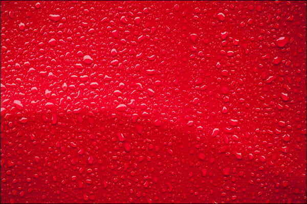 차에 맺힌 빗방울