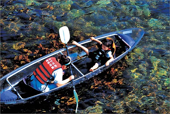 장호어촌체험마을, 배 밑이 훤히 들여다 보이는 투명카누를 타는 체험객들.