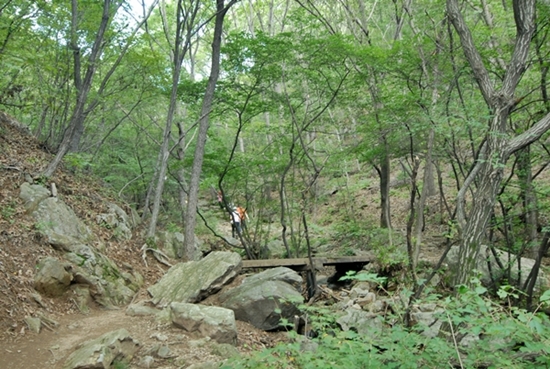 골짜기 돗자리 한 장이면 올 여름 피서가 끝이라고 하는 사람들이 노무목으로 오르고 있다