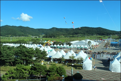 제40회 강진청자축제가 열리고 있는 고려청자의 성지 전남 강진 대구면 청자도요지입니다.