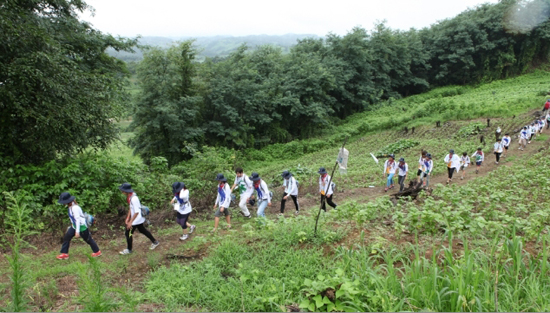 '2012 세계평화의 바람' 캠프 동안 여러 차례의 도보 행진이 있었다. 사진은 연천 임진강변 도보 장면