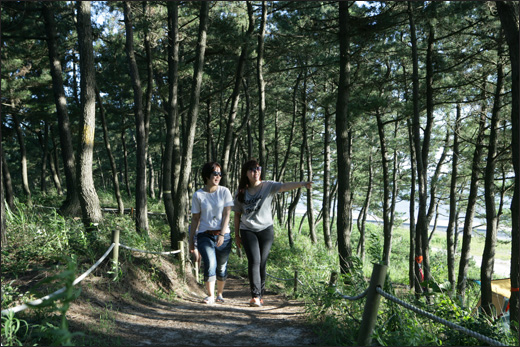 바닷가 해송숲길이 예쁘다. '슬로시티' 신안 증도의 우전해변을 따라 이어진 숲길이다.