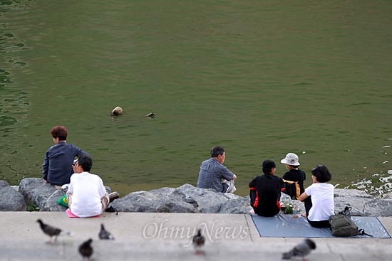 한강에 녹조현상이 발생한 가운데 8일 오후 서울 광진구 자양동 청담대교 아래에서 시민들이 무더위를 피하고 있다.