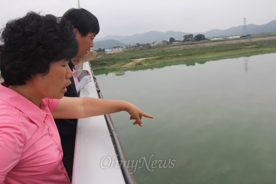  낙동강 창녕합천보 일대에 녹조현상이 심한 가운데, 임희자 마창진환경연합 사무국장이 율지교 부근에서 낙동강을 내려다 보며 살펴보고 있다.