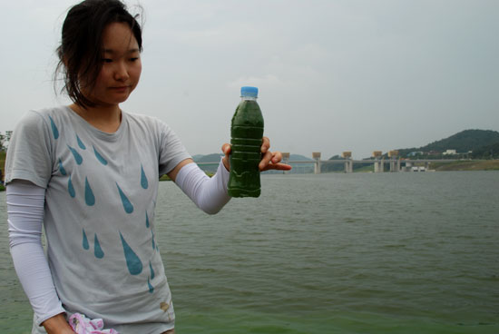 "이게 금강의 녹조 입니다"라며 정선미 대전충남녹색연합 간사가 공주보 인근 금강 물을 떠서 들어 보이고 있다. 
