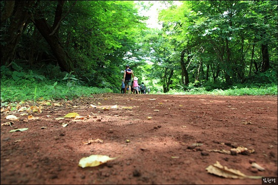 피크닉가든역에는 곶자왈숲을 걸을 수 있는 2km의 에코로드 산책로가 있다.
