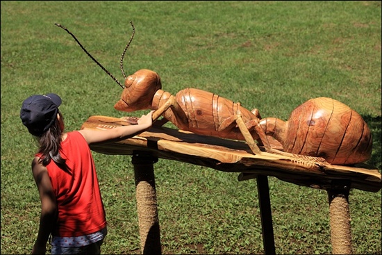 목공예 체험관 야외에는 엄청 큰 나무 곤충들이 전시되어 있어 아이들에게 즐거움을 준다.