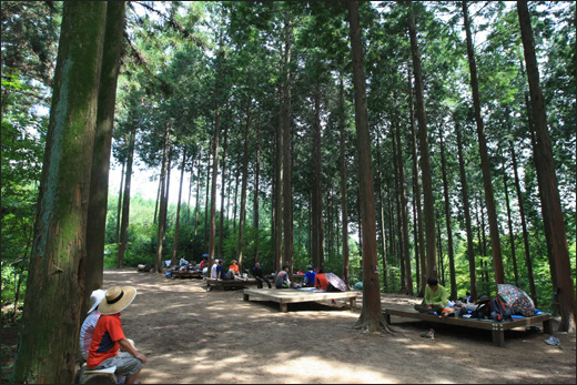 축령산 편백쉼터. 숲을 찾은 여행객들이 편백나무 숲 사이 쉼터에 앉아 피톤치드를 호흡하며 쉬고 있다.