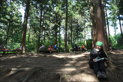 축령산 편백쉼터. 편백나무 숲으로 둘러싸인 쉼터에서 여행객들이 편히 쉬고 있다. 한 등산객은 편백나무에 기댄 채 독서삼매경에 빠져 있다.