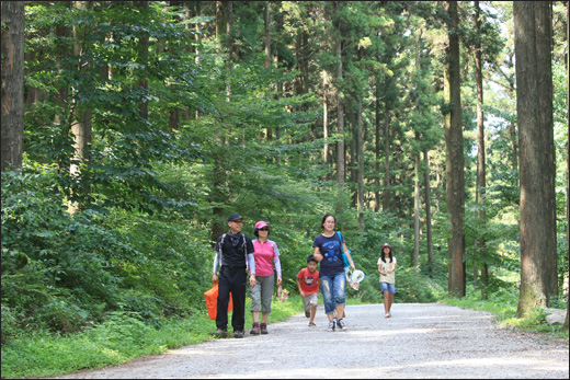 편백숲길 산책. 축령산을 찾은 일가족이 편백나무 숲길을 따라 오순도순 걷고 있다.