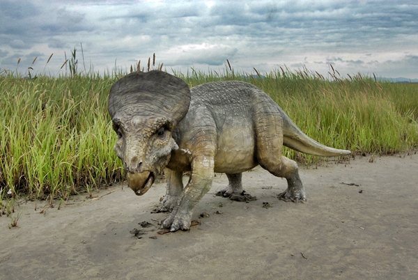화석산지 풀 숲레 조형한 공룡의 모습