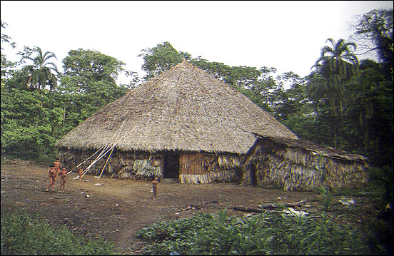 야노마미들이 집단으로 거주하는 '말로카'라는 집