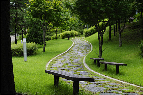 국립춘천박물관 뒷편 야산으로 나 있는 그림 같은 산책로.