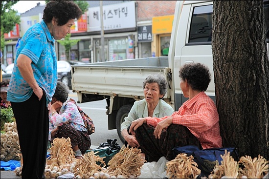 마늘을 사고파는 할머니들이 흥정을 하고 있다.