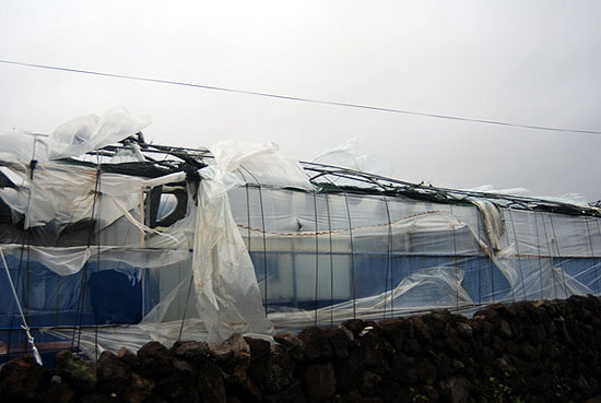 태풍 볼라벤 영향을 받은 제주도 서귀포시 남원읍 하례리 마을 모습. 강풍에 비닐하우스가 크게 파손됐다. 