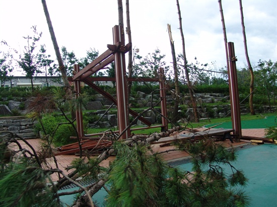태풍 볼라벤의 영향으로 충남 예산군 한 아파트단지 소나무가 부러졌다. 