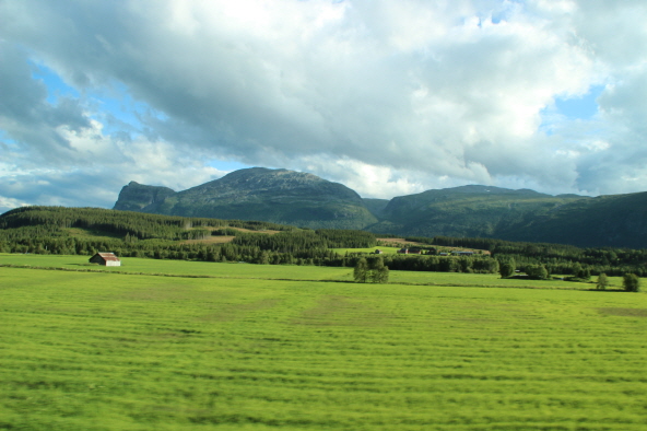 노르웨이 산악지대의 평원
