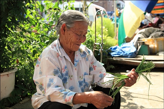 완사5일장이 설 때마다 시장에 나오는 김정년 할머니(82)는 아직도 비녀를 꽂은 쪽머리를 하고 있다

 