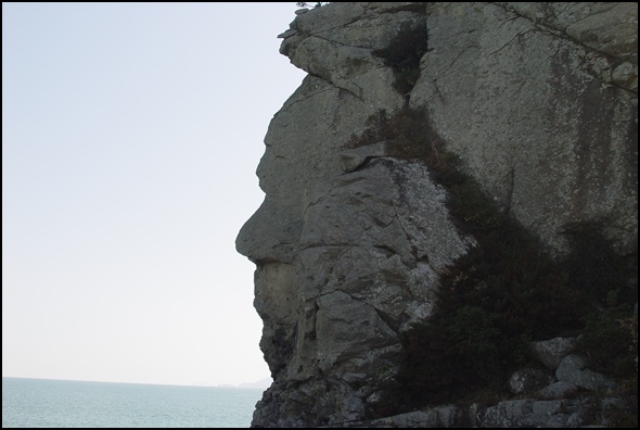 눈, 코, 입이 선명합니다. 사람 옆 얼굴처럼 생긴 바위입니다.