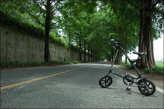 김 국장은 자전거 전용도로를 많이 내는 것보단 속도를 낮춰 함께 가는 것을 주창한다.