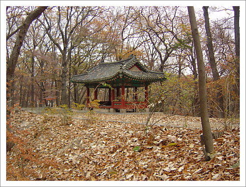 창덕궁 후원 원림은 동산과 숲을 조경 삼아 적당한 곳에 정자나 집칸을 배치한다
