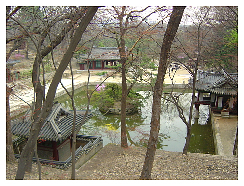 창덕궁후원 부용지 영역  명옥헌원림의 큰 연못을 보면 부용지 영역이 보인다 
