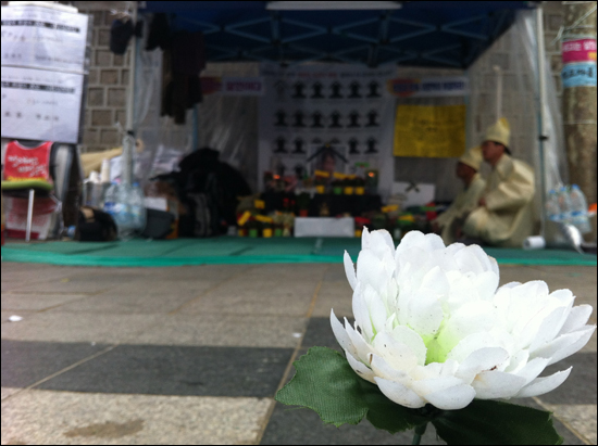 대한문 투쟁 이야기 서울시청 앞 대한문 앞에서 농성중인 쌍용차 노동자들을 담은 다큐영화다