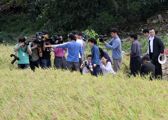 박 후보가 벼가 쓰러진 논 주변에서 피해 현황 설명을 듣고 있다. 