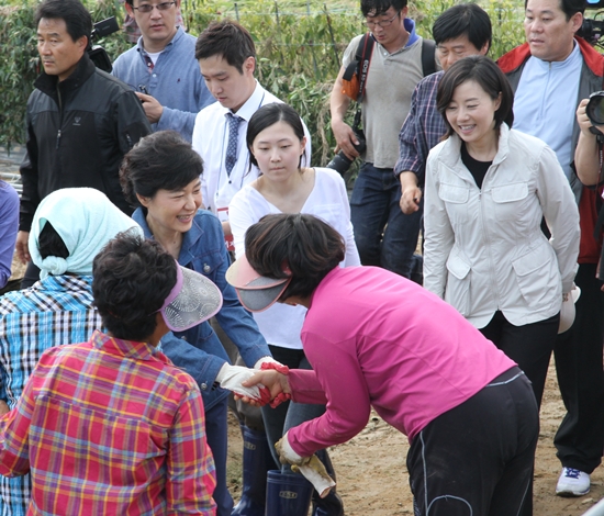 박 후보가 태풍 피해 주민과 악수를 나누고 있다.