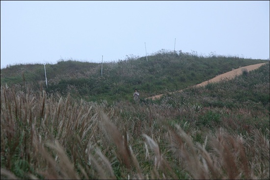 황매산의 참억새... 찬바람이 불면 하얀 환희에 빠져들 것이다

