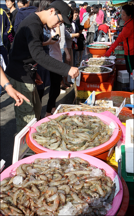 대하 집산지 태안군 안면읍 백사장항에서는 대하 생산량이 최고조에 이르는 이즈음 대하축제를 개최한다. 