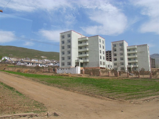 아파트 건물 왼쪽으로 개인 주택들이 보인다. 개인 주택들의 마당에는 예외없이 채소를 재배하고 있다.