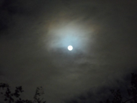 추석을 이틀 앞둔 달의 모습. 구름에 가려 희미하다. 추석 당일엔 휘영청하니 온 누리를 비출 것이다.
