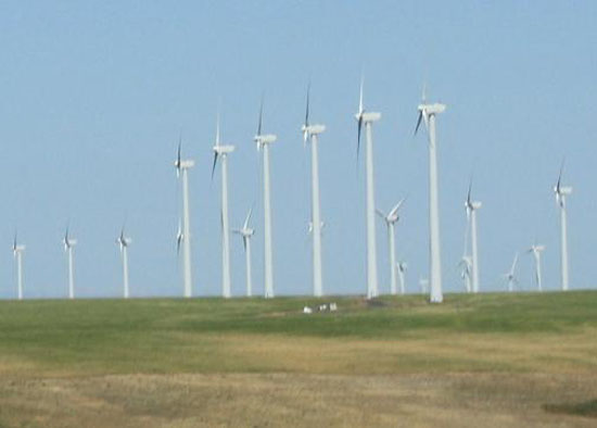 끝없이 펼쳐진 밀밭 위에 풍력 발전기가 헤아릴 수 없이 많다.