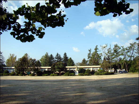 학교 규모에 비해 운동장과 숲이 넓은 담양 봉산초등학교 양지분교