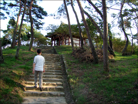 송강정 오르는 계단