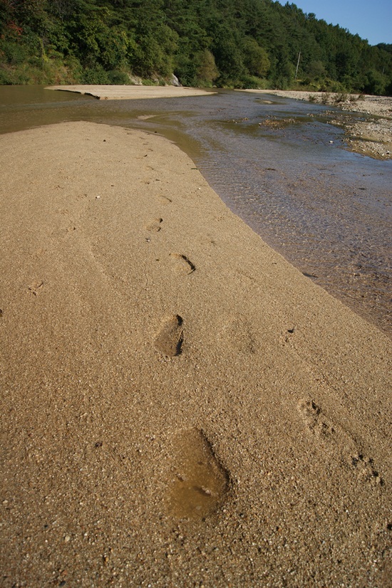 가을은 모래의 강 내성천을 걷기에 아주 좋은 계절입니다. 내성천으로 달려갑시다.