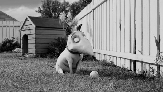  영화 속 빅터의 강아지 스파키는 팀 버튼 감독이 직접 그린 스케치로부터 만들어졌다. 팀 버튼은 <프랑켄위니>에 대해 "가장 개인적인 기억을 들추는 과정이었다"고 밝혔다.