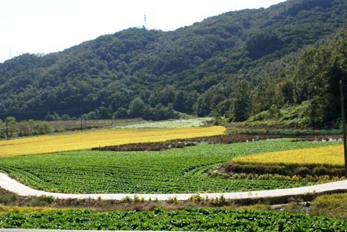 영평사 가을 풍경 .  이렇게 평화로운 가을이 깊어가고 있다. 