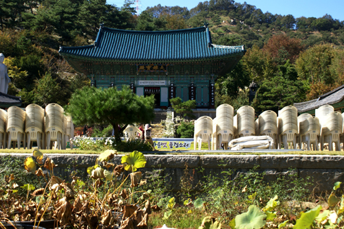 구절초 축제, 영평사 대웅전  꽃을 보려는 사람들과 무료로 나눠주는 국수를 먹기 위해 사라진 인파 덕분에 가장 조용해 보이는 대웅전의 모습. 