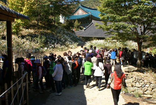 무료로 나눠주는 국수를 먹기 위한 진풍경.  축제에 찾아온 관람객들에게 무료로 나눠주는 국수를 먹기 위해 늘어선 줄이 진입로에서 만난 자동차 행렬과 다르지 않았다. 