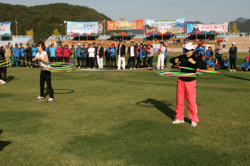 제4회나라꽃 무궁화축제에 참가한 훌루후프선수와 응원단