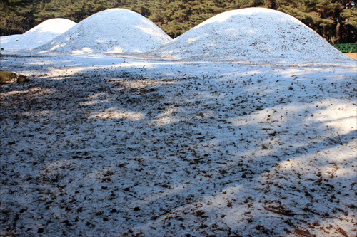삼릉에 눈이 내렸다.