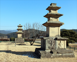 남산사터 석탑, 보물 124호