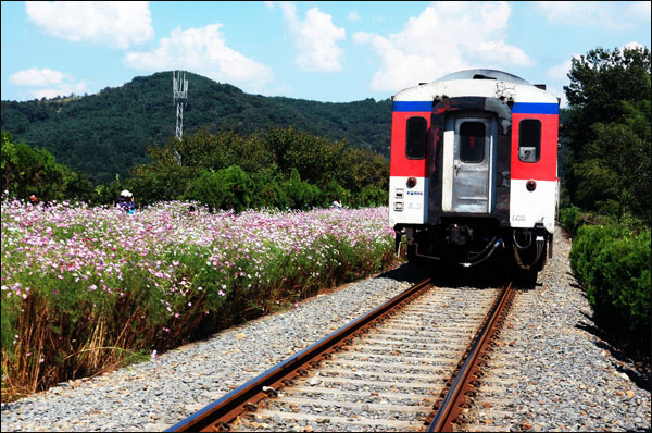 하동북천역을 지나 경전선을 달리는 기차