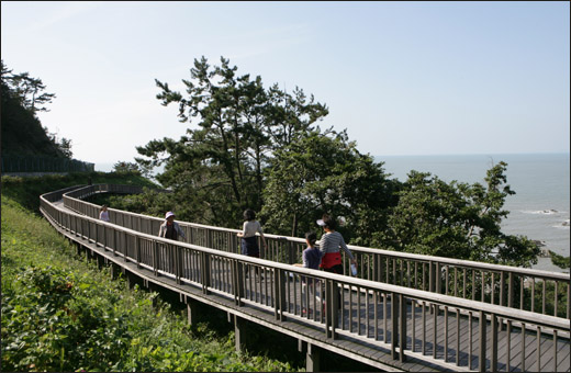 백수해안 노을길의 나무데크 길. 여행객들이 해안을 따라 편하게 걸을 수 있도록 해준다.