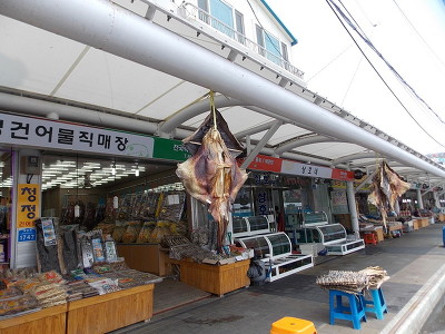 주문진항 바로 옆에 있는 어시장이다. 그냥 둘러보는 것만으로도 즐거운 구경거리다. 우리동네 낭만고양이들이 좋아할 만한 사진이다. 

