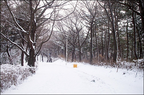  눈 쌓인 월명산 산책로(2010년 1월 촬영)
