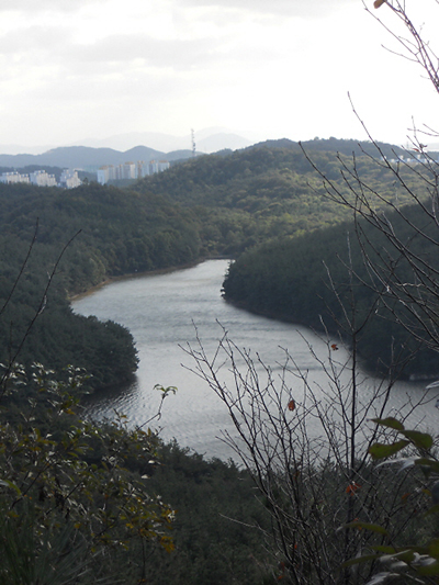 한반도 지형을 닮은 월명공원 이 광경은 마치 산 정상 위에 올라 우리나라를 한 눈에 내려다보듯 가슴 뭉클한 감동을 선사한다.