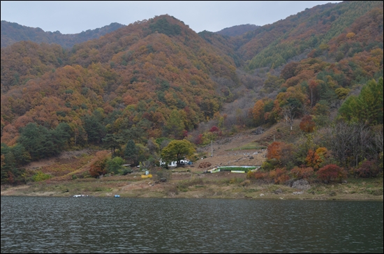 '저 집에서 예쁜 여자랑 한달만 살고 싶다'고 트위터에 올렸다가 집사람에게 들켜 두들겨 맞을뻔 했다. 